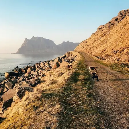 Holiday home Moderne Rorbu I Lofoten: Nr 80 *